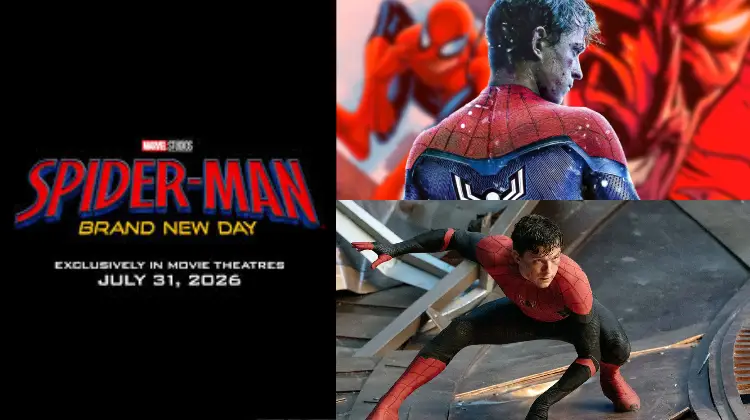 Spider