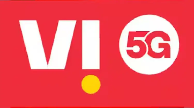 Vi