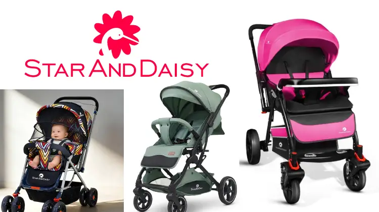 StarAndDaisy
